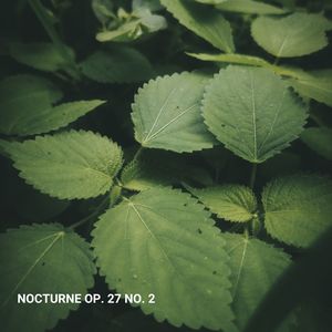 Nocturne Op. 27 No. 2