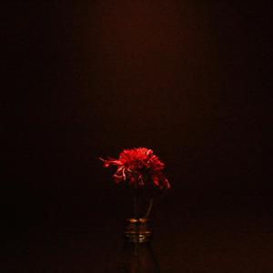 Golden (feat. Little A) (Explicit)
