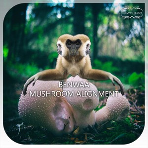 Mushroom Alignment (Bootleg Ben Magic Mushroom Mix)