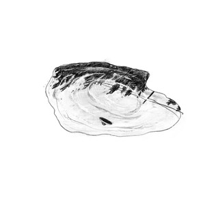 나의 세계로(To my world) (走向我的世界)