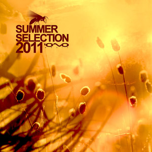 Summer Selection 2011