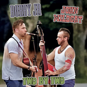 Handsome Man (2025 Version Instrumental)