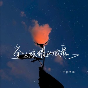 逢人炫耀的玫瑰