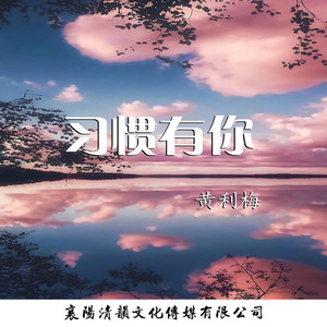 习惯有你