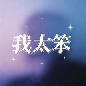 行走的音乐磁带 - 我太笨