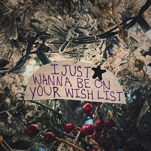 I Just Wanna Be on Your Wish List