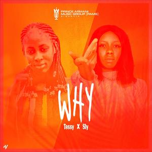 Why (feat. Sly PAMG) [Explicit]