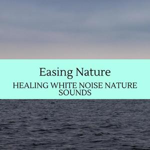 Easing Nature - Healing White Noise Nature Sounds