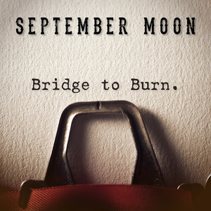 Bridge To Burn