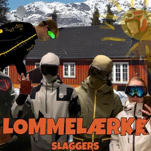 LOMMELÆRKE (Explicit)