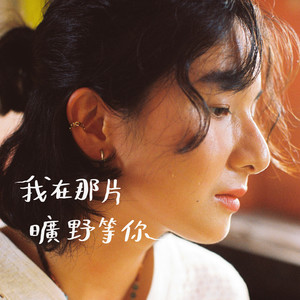 我在那片旷野等你