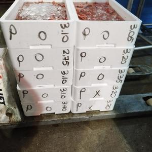 Solo se ganar (feat. pait) (Explicit)