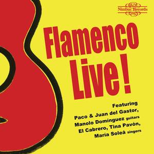 Flamenco Live!