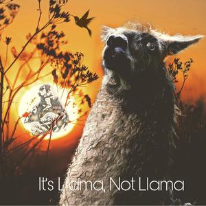 It's Llama, Not Llama (303 Acid Remix)