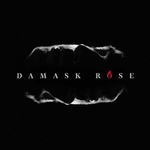 Damask Rose