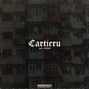 CARTIERU (feat. DVNU) [Explicit]