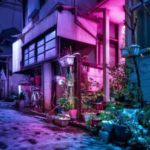 Lovers Driveway(feat. Tatsuro Yamashita)