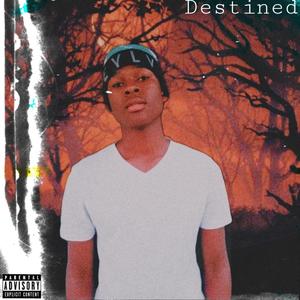 Destined (Explicit)