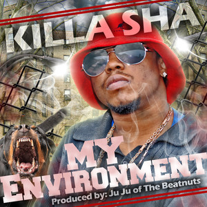 My Environment (Explicit)