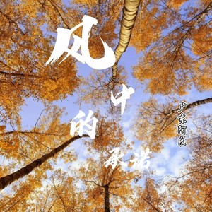 风中的承诺 (原唱:小阿枫)