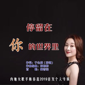停留在你的世界里