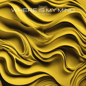 Where Is My Mind