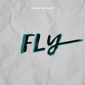 Fly