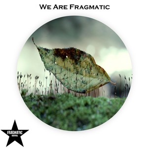 We Are Fragmatic