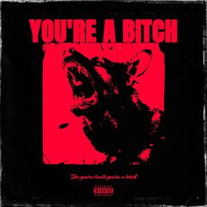 You're A ***** (Explicit)