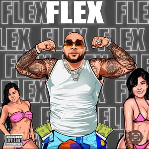 Flex (Explicit)