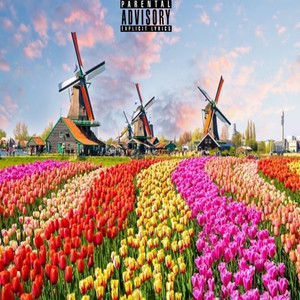 AMSTERWEED (Explicit)