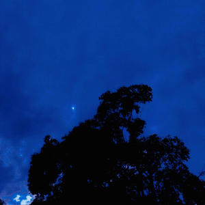 Very Hollow (feat. Rabbitz) (Explicit)