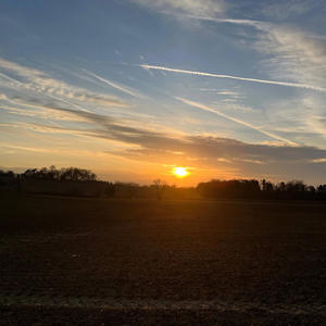 tryna reach the sky (Explicit)