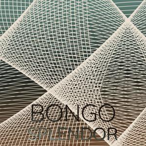 Bongo Splendor