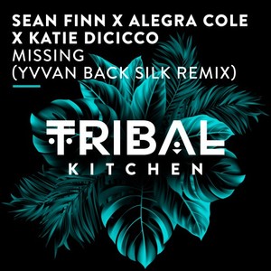 Missing (Yvvan Back Silk Extended Remix)