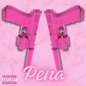 PENA (Explicit)