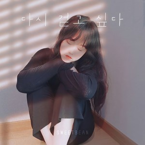 다시 걷고 싶다 (Instrument)