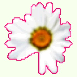 WENN ES LIEBE IST (Explicit)