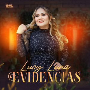 Evidencias (En Vivo)