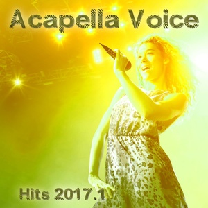 Acapella Voice Hits 2017.1