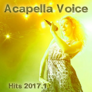 Waterfall (Acapella Vocal Version BPM 115)