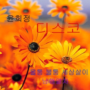 윤희정 디스코 (울퉁 불퉁 세상살이/남행열차) (尹熙正DISCO (凹凸的人生 南行列车))