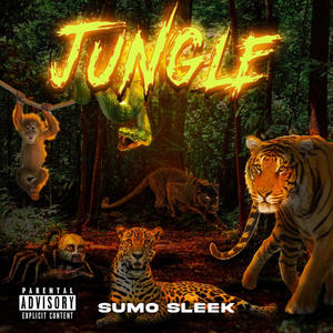 Jungle (Explicit)