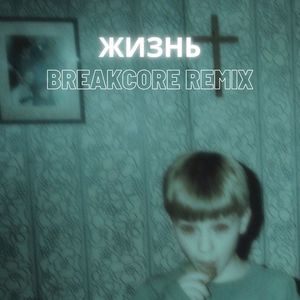 Жизнь (Breakcore Remix)