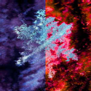 winter ambience. (speed)