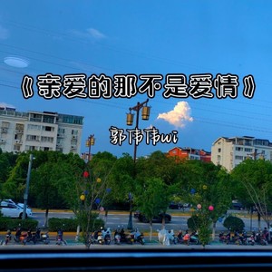 亲爱的那不是爱情 (Live)