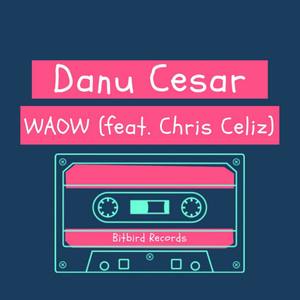 WAOW (feat. Chris Celiz)