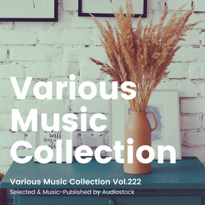 Various Music Collection Vol.222 -Selected & Music-Published by Audiostock-