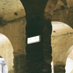 Say Trong Tình Đời (Explicit)