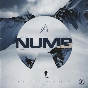 Arc North-NUMB (KSKV / HSHK / VodKe remix)